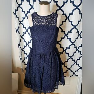 Navy Lace Dress From The Limited